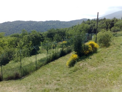 29062008378.jpg