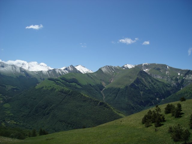 dsc04045.jpg