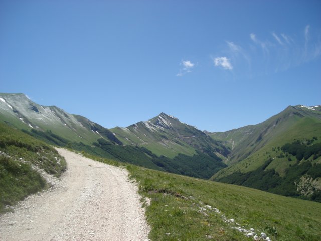 dsc04051.jpg