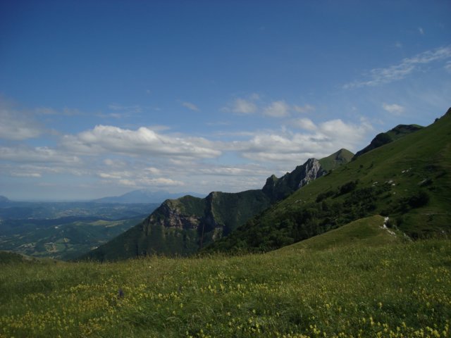 dsc04059.jpg