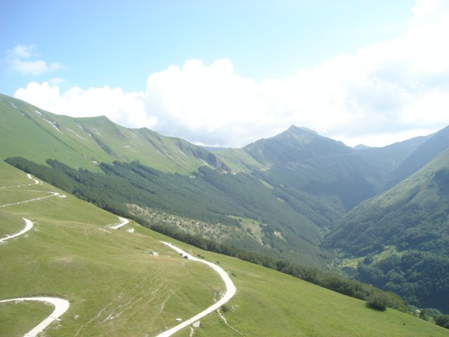 dsc04209.jpg