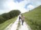 dsc04221_small.jpg