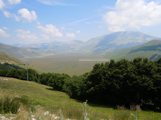 dscn0225.jpg