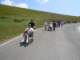 dscn0241_small.jpg