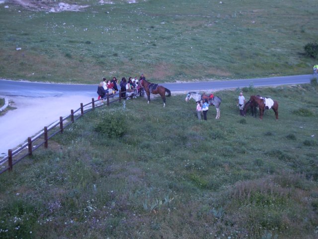 dscn0296.jpg